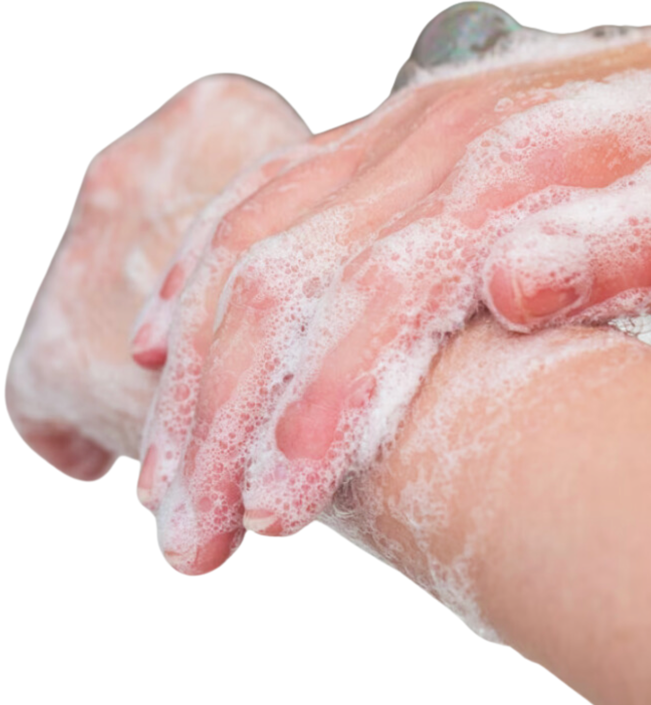 Sapone mani detergente. Profumo: ambra, vaniglia e legni pregiati 500 ML