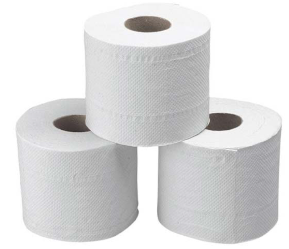 Carta igienica 10 rotoli famiglia