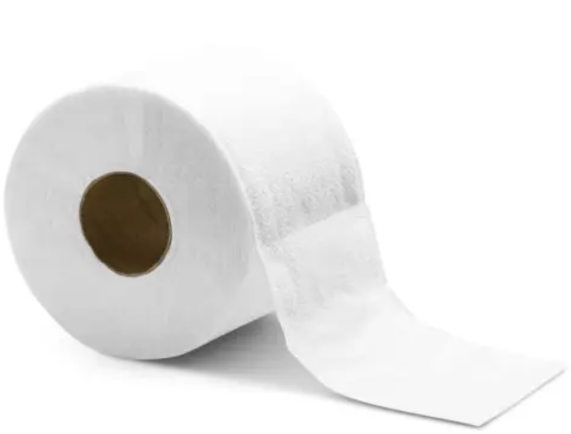 Carta igienica 10 rotoli famiglia