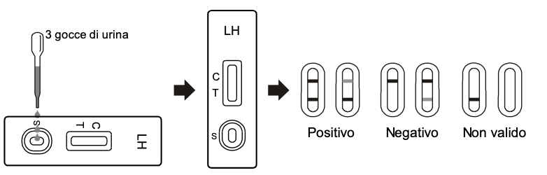 Verify® Self Test Ovulazione 3 pz.