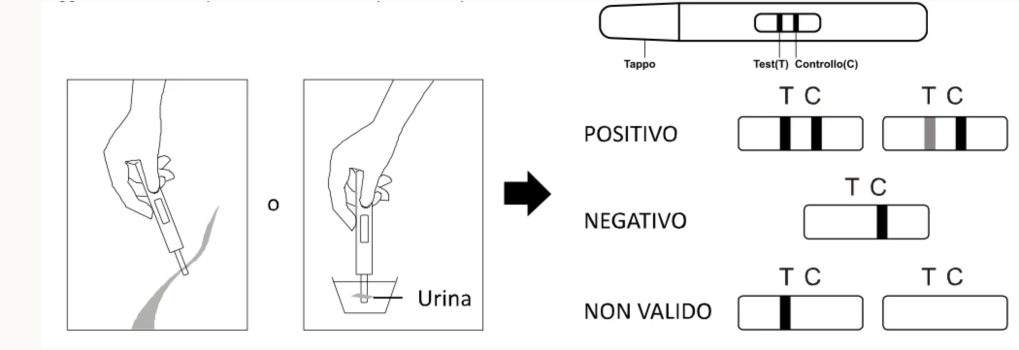 Verify® Self Test Gravidanza